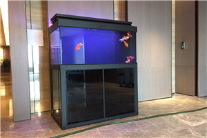 私人訂制 上門安裝 服務