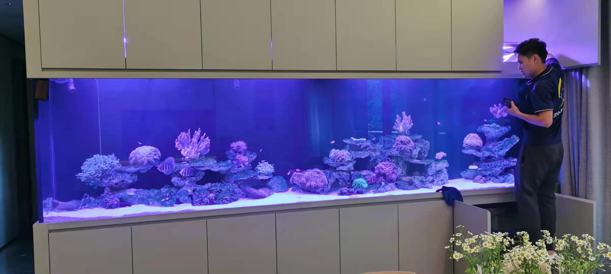 定制海水魚缸上門清洗服務
