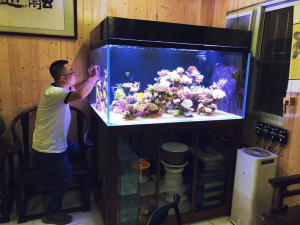 客廳海水缸定制項目