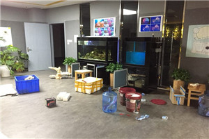 道爾頓公學(xué) 海洋科普 走進(jìn)學(xué)校