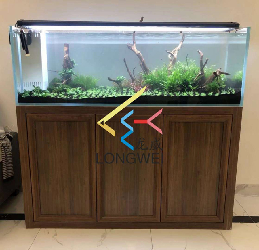 餐廳淡水草缸定制案例——龍威水族