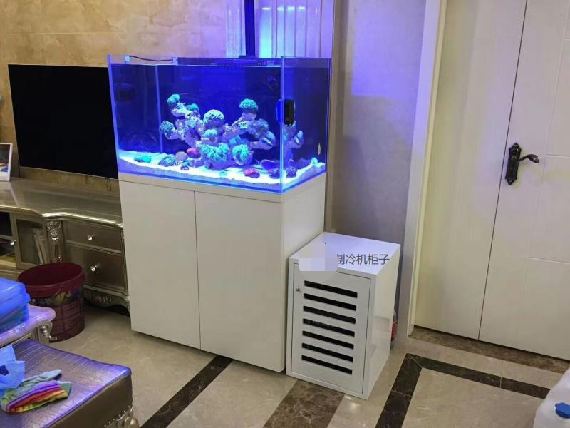 家庭魚缸定做案例——龍威水族