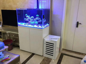 家庭魚缸定做案例——龍威水族