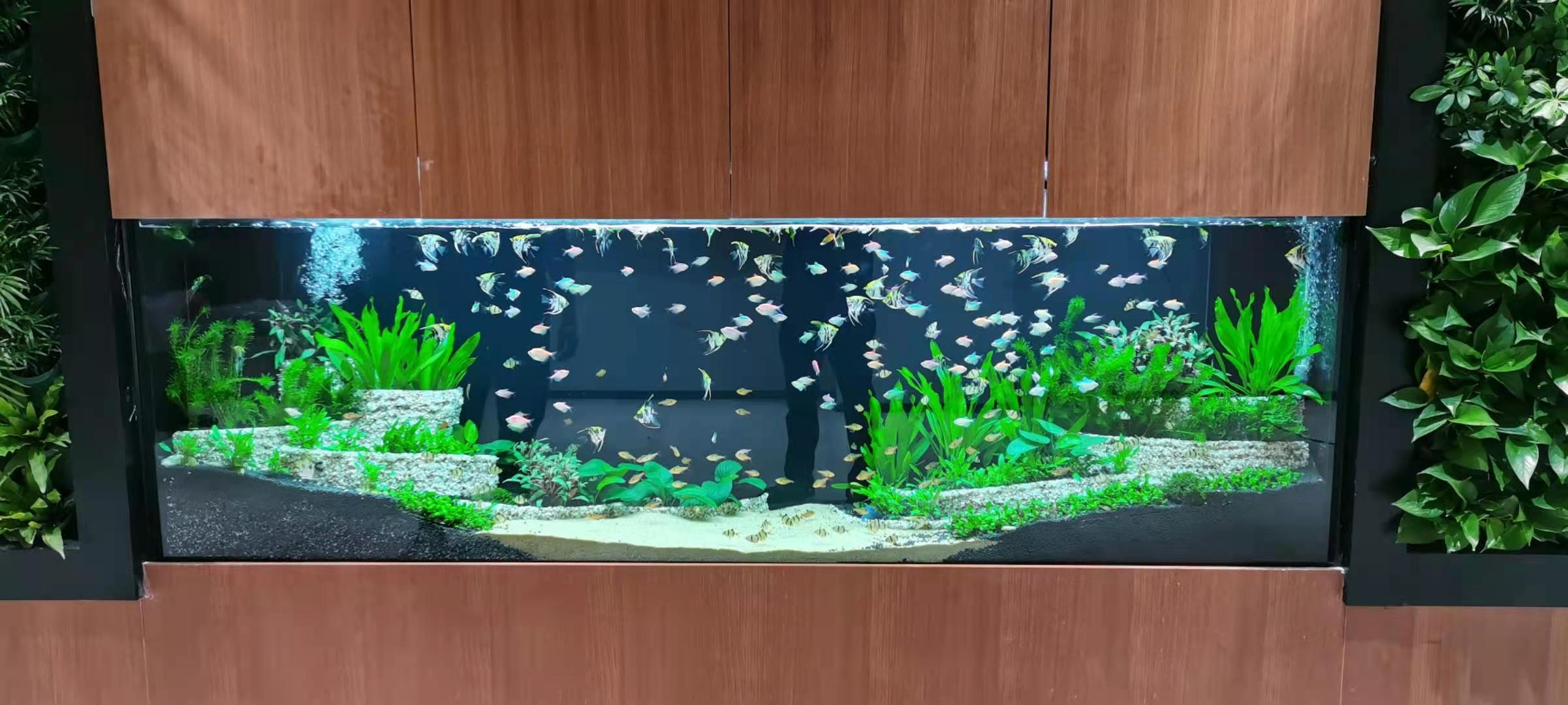 店鋪定制風水魚缸案例——龍威水族