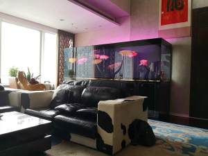 公司 大型魚缸定制——龍威水族