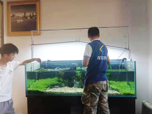 淡水缸造景項目案例