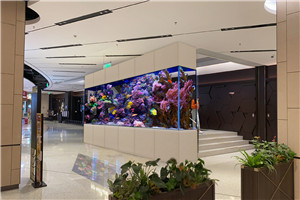 大型商業(yè)  景觀設(shè)計