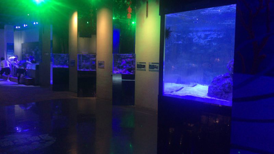 海洋館建設 竣工 營業 廣東汕頭蓮花峰海洋文化館