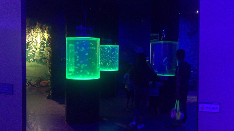 海洋館建設 竣工 營業 廣東汕頭蓮花峰海洋文化館