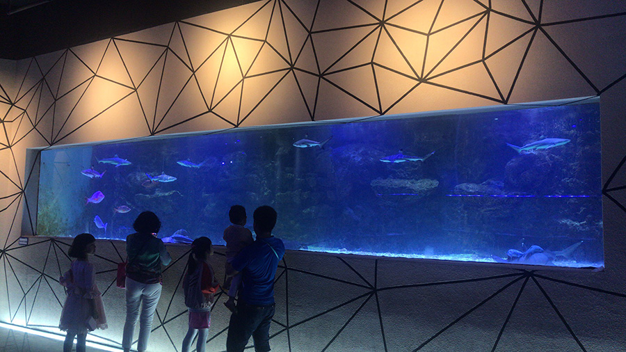 海洋館建設 竣工 營業 廣東汕頭蓮花峰海洋文化館