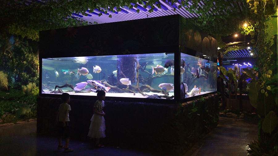 海洋館建設 竣工 營業 廣東汕頭蓮花峰海洋文化館