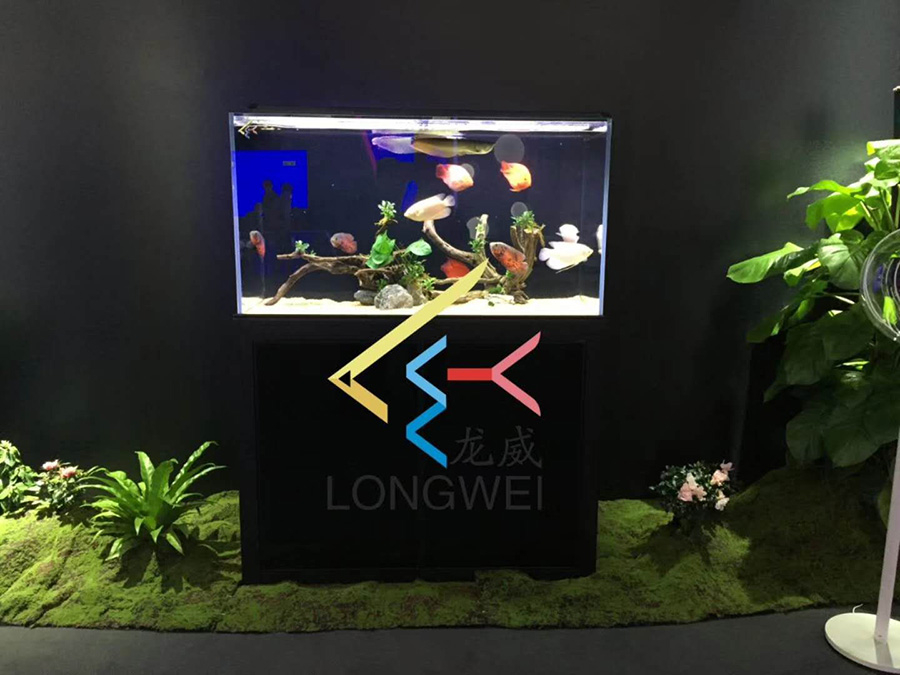 深圳大型魚(yú)缸生產(chǎn)廠家—龍威水族
