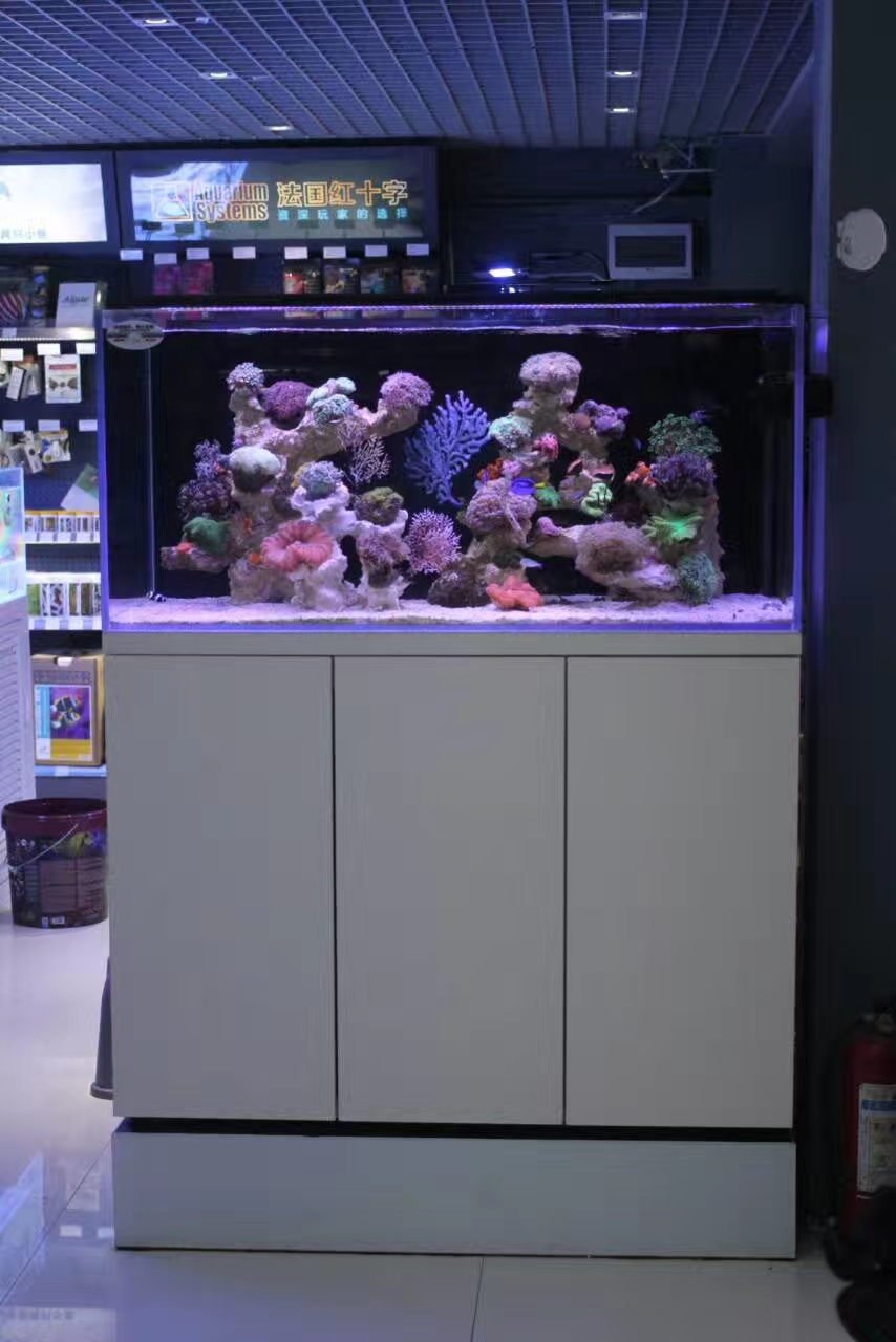 龍威水族_定制超白玻璃魚缸 質量保證,定制超白玻璃魚缸|深圳海缸定制|深圳魚缸定做